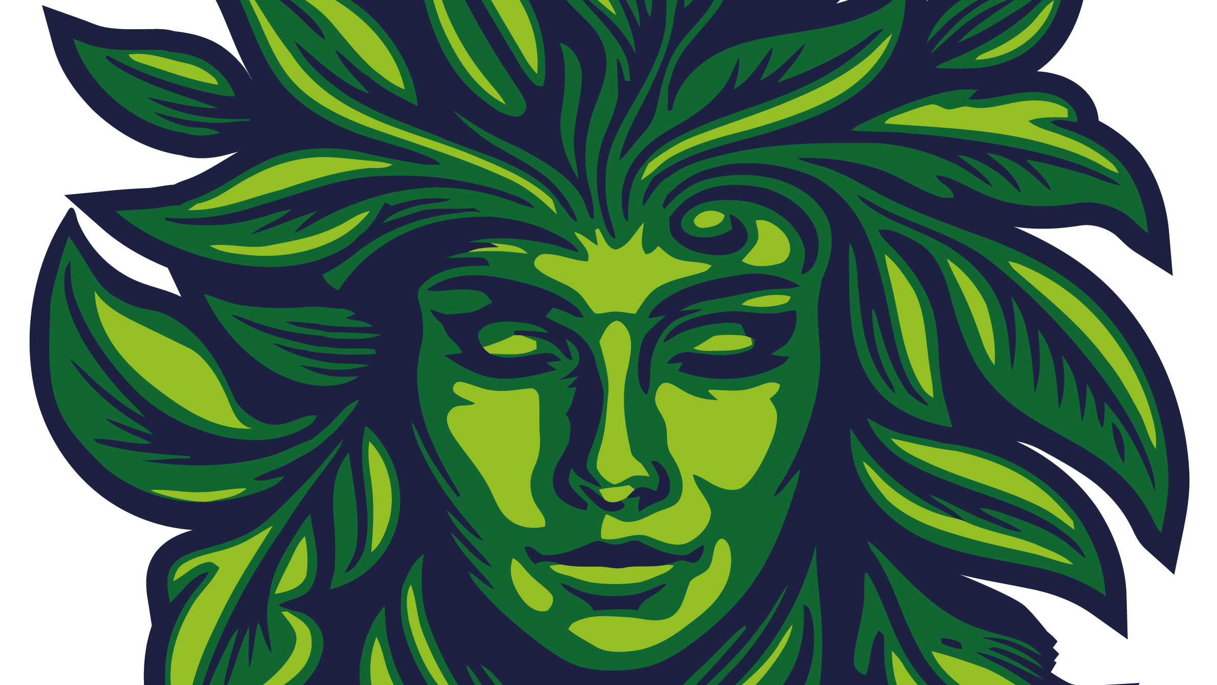Background graphic